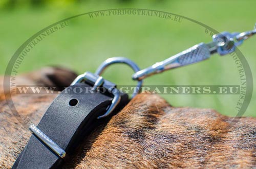Strong metal hardware of the collar for Boxer
