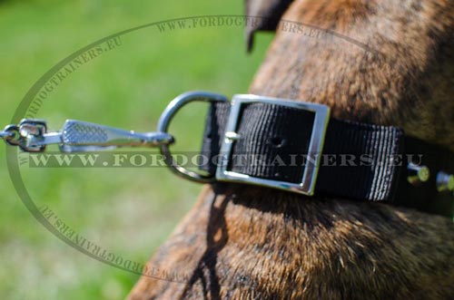 Nylon Boxer Collar Buckle and Ring