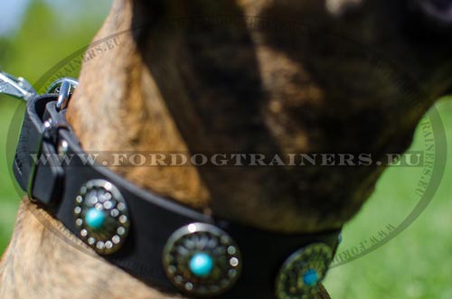 Collar for Boxer - handset decoration