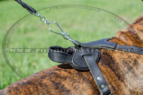 Boxer Professional Training Harness