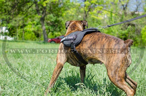 Nylon Dog Harness Back Plate