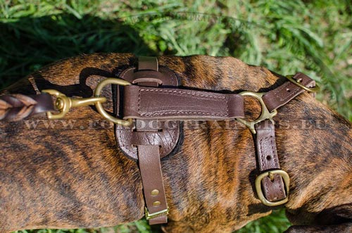 Dog Harness Back Plate