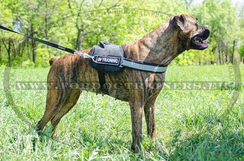 Nylon Harness with Reflective Strap Boxer