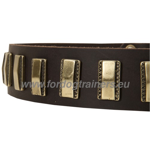Sturdy dog collar decorated with brass plates for Boxer
