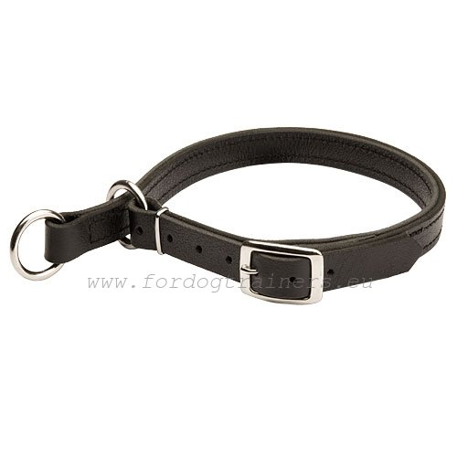 High quality leather choke collar for strong dog