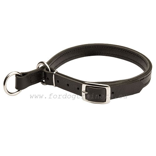 Wonderlijk Gemaakte
Honden Stik Halsband