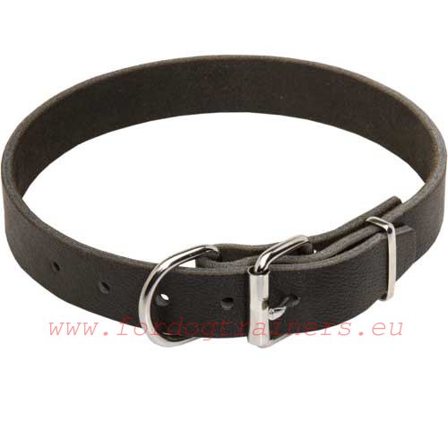 Metal
fittings of the Leather Dog Collar Classics for every day