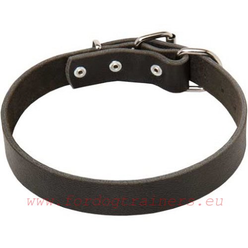 Classical
leather collar