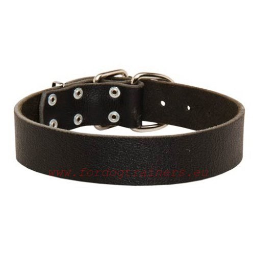 Simple but elegant leather dog collar for Malinois