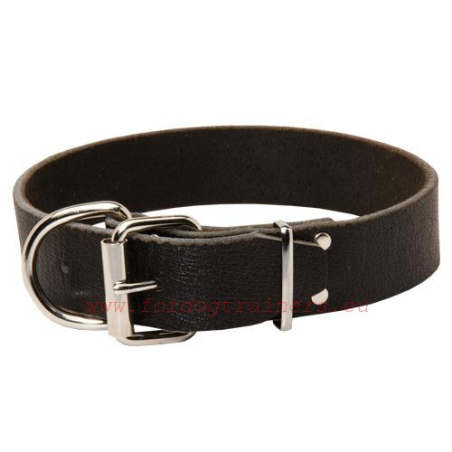 Metal fittings
of the Wide Malinois Collar Simple Elegance 
