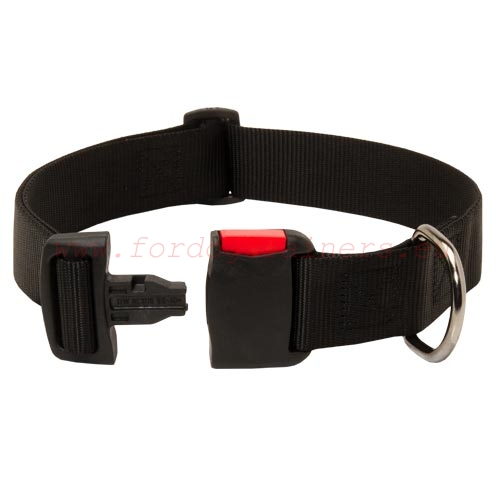 Nylon Training Collar for Malinois - Nickel Buckle and Ring