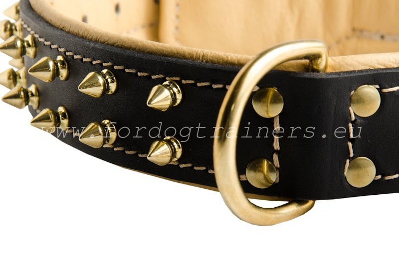 Collare In Pelle Borchiato Nero Con O Ring &ndash; Punk Rock, Unisex, Elegant Moments L9620