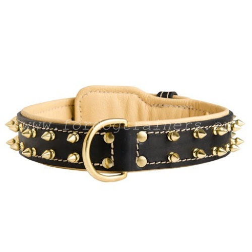 Leather dog collar spiked