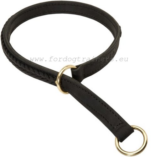 Braided Leather
Choke Collar for Malinois