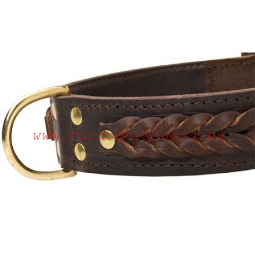 Leather decoration of the braided dog collar