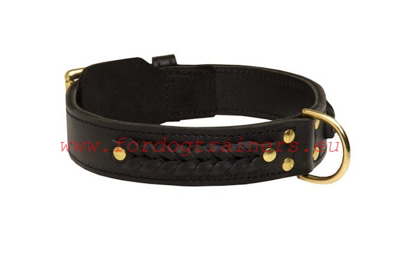 Leather Collar for Large Malinois dogs Decorated with Braids
