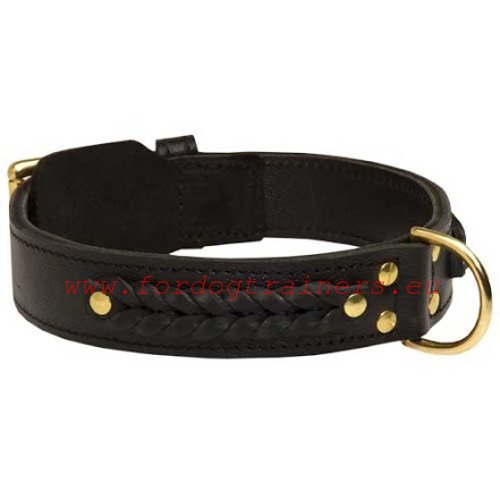 Leather collar for large and medium dogs