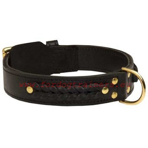 Lederen Halsband voor Grote en Medium Honden 