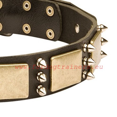High-quality resistant and riveted plates and spikes of
the trendy collar