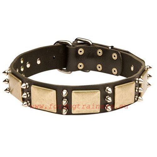 Resistant and impressive leather dog collar with spikes
and plates