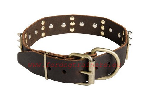 Practical and comfortable leather dog collar with combined decoration