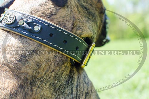 Metal fitting and riveted braid of the collar for Boxer