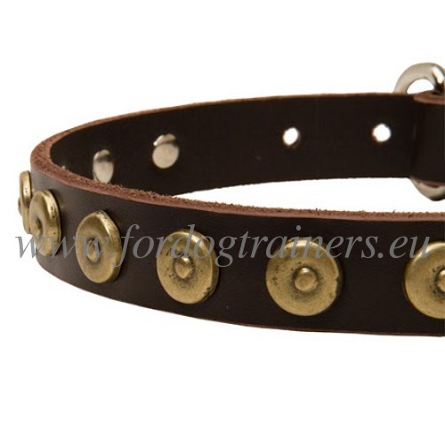 Versierde met
Knoppen Lederen Halsband voor Mechelse Herder