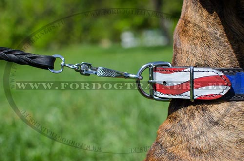 Incredible painted collar with USA flag for Boxer