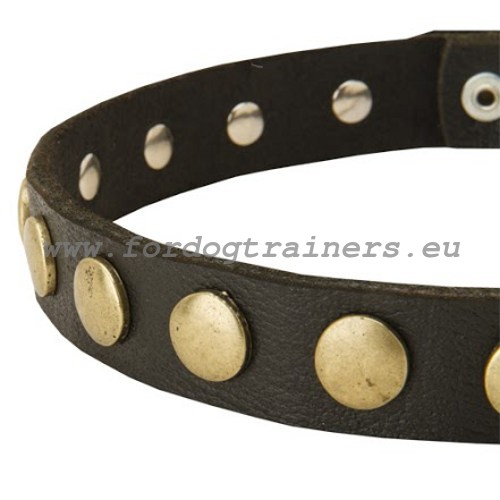 Round metal decorations of the Universal Narrow leather collar