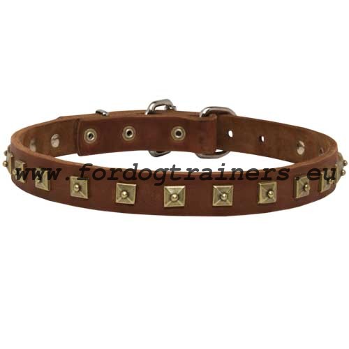 Leather Collar for Laika