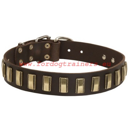 Wonderful Deluxe Collar - beautiful decorations