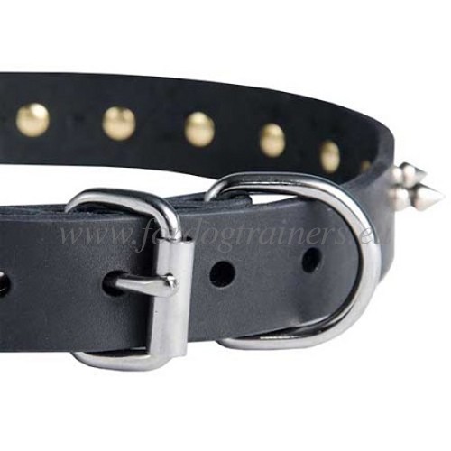 Vernikkelde hardware van de halsband voor Laika