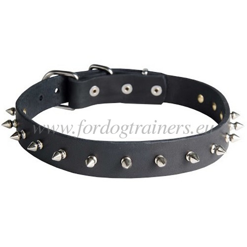 Durable collar for hunting dog