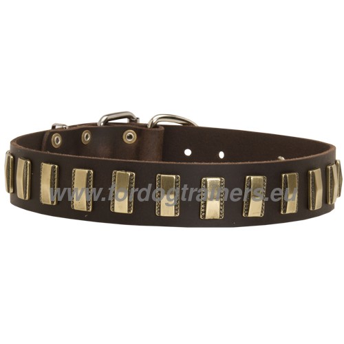 Boxer collier dcor pour promenades