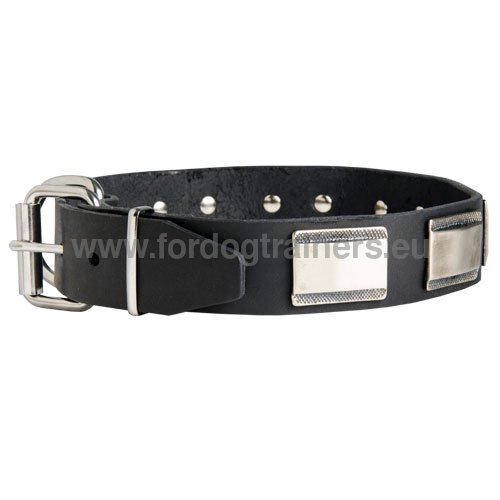 Super robustes Leder Halsband fr Pitbull mit Stahl Platten und Beschlgen