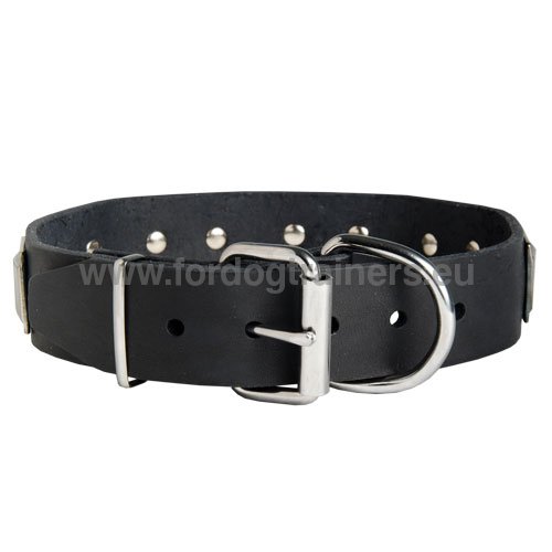 Strapazierfhiges Leder-Halsband Top-Design fr Pitbull