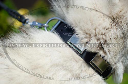Extra Elegant Leather Collar for Husky