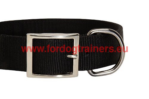 Collier extra fort pour chien Dobermann