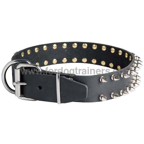 Decorated dog collar for Doberman Spiked