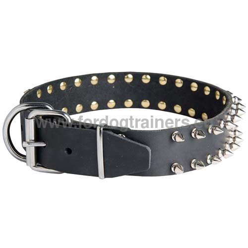 Collier dcor de promenade pour chien Dobermann