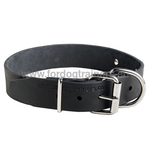Personified dog collar for
Doberman