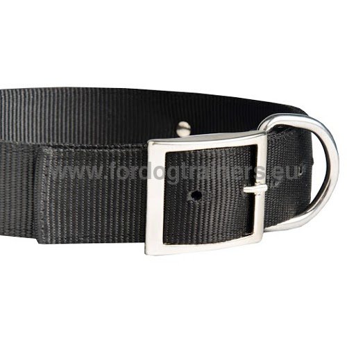 Super durable nylon collar with ID tag for Dobie