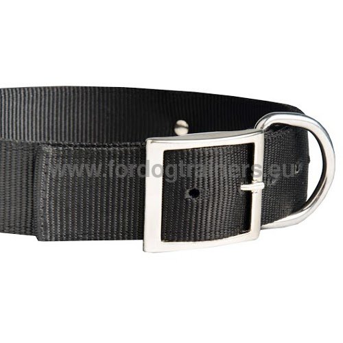 Collier nylon pour personnaliser le chien Dobermann