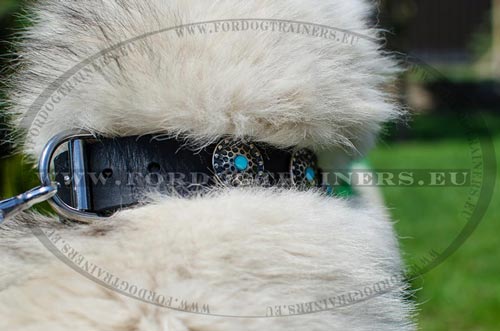 Collier en cuir de haute qualit pour Husky