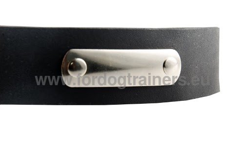 Leather collar for Doberman identification