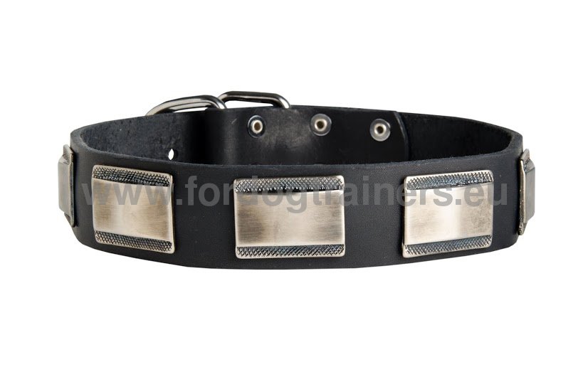 Boxer leather dog collars online