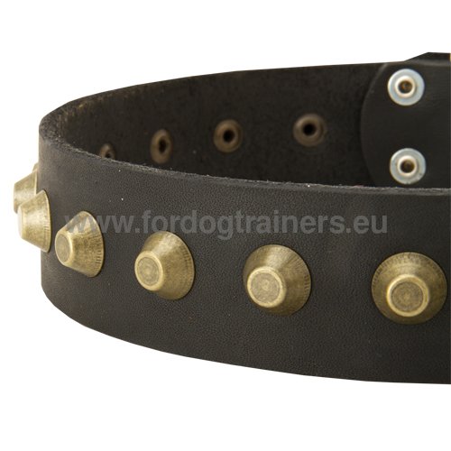 Collier original en cuir pour Husky