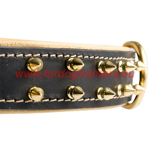 Nappa-padded Dog Collar