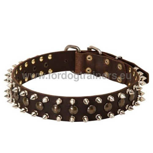 Lederen
Honden halsband met spikes en knoppen elegance voor Mechelaar