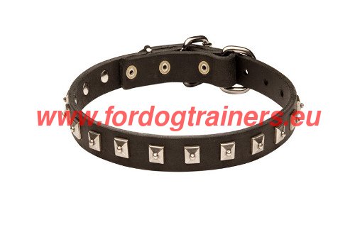 Black Leather Dog Collar